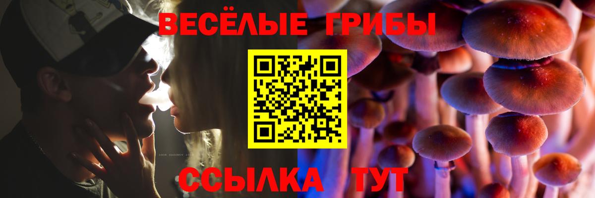 Псилоцибиновые грибы Cubensis Дивногорск