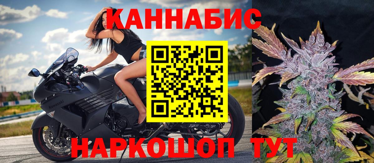 Каннабис ГИДРОПОН Дивногорск